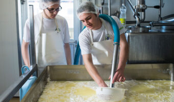Ein Mann steht mit einem Staubsauger ähnlichen Gerät an einem grossen Becken mit Käsemasse.