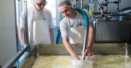 Ein Mann steht mit einem Staubsauger ähnlichen Gerät an einem grossen Becken mit Käsemasse.