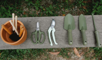 Draussen auf einem Holzbrett liegen verschiedene kleine Gartenwerkzeuge aufgereiht nebeneinander.