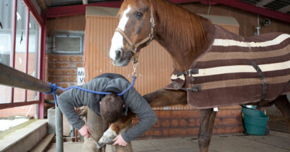 Ein Mann passt einem Pferd das linke, vordere Hufeisen an.